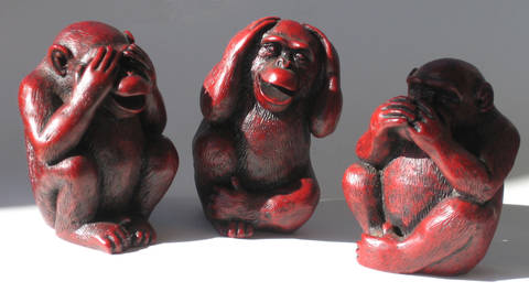 Three Wise Bonobos